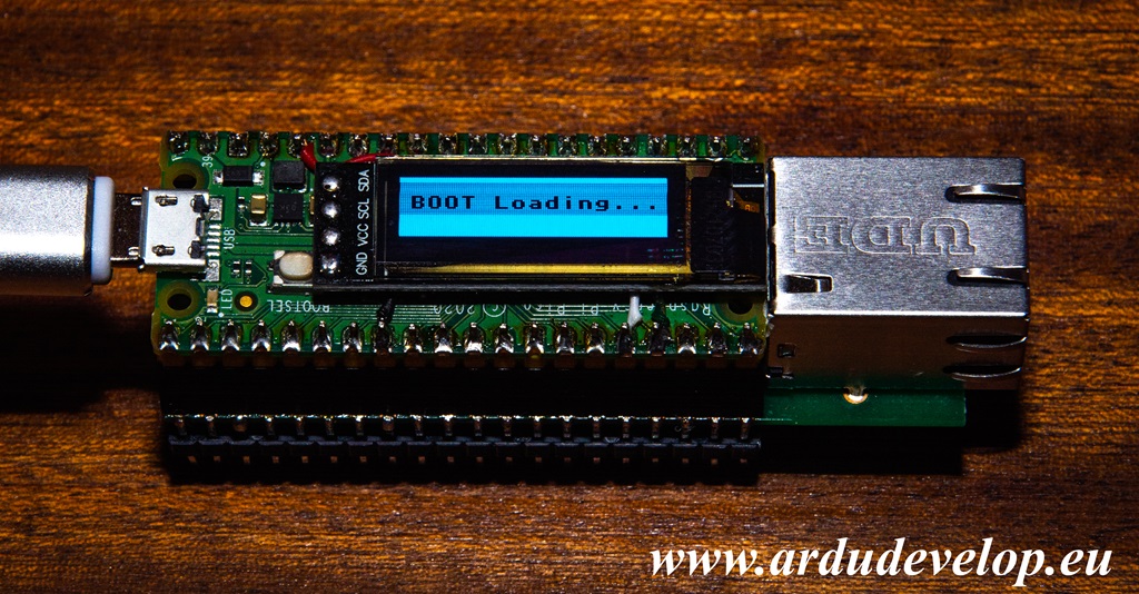 Raspberry Pi Pico W5100s Ethernet HAT
Oled 0.91"